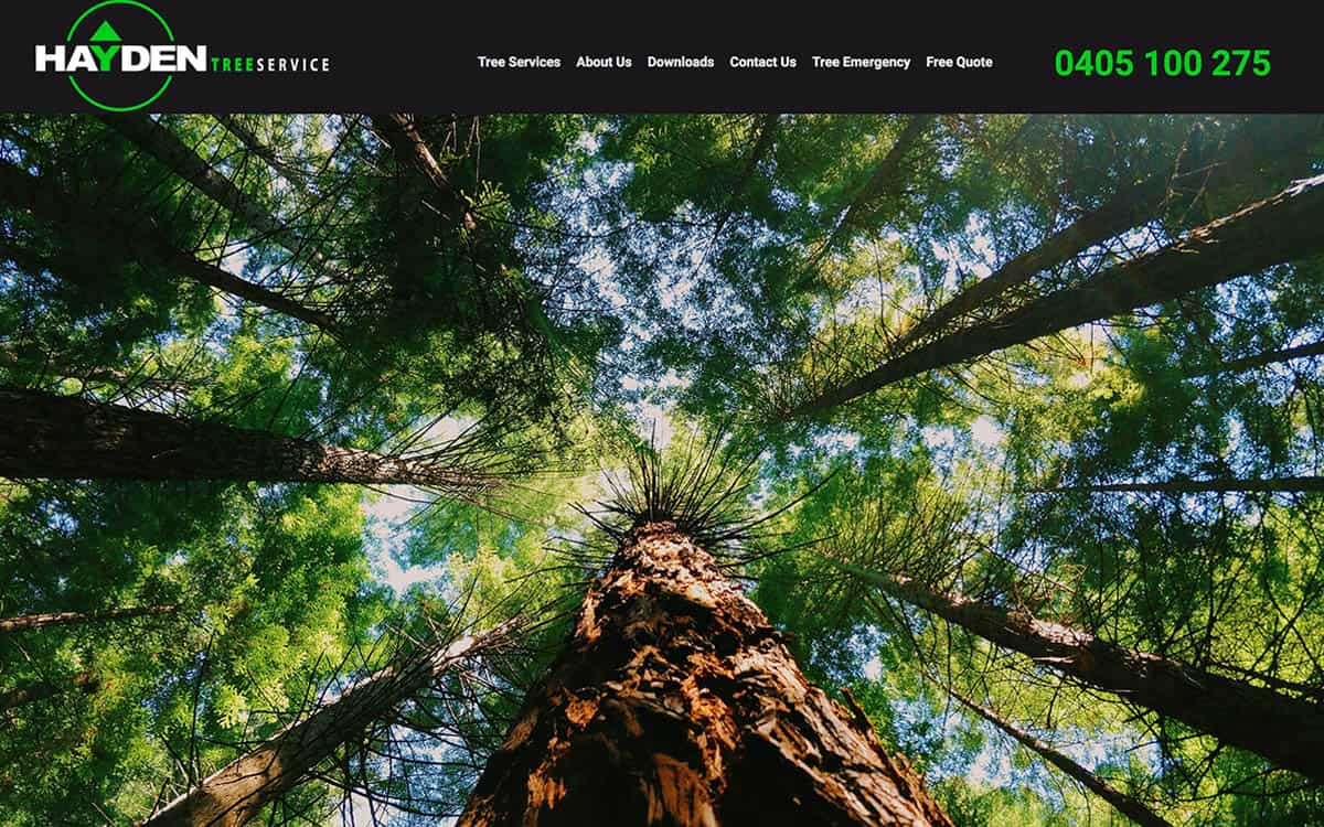 Hayden Tree Service - WordPress Website
